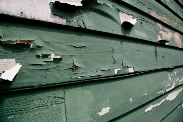 Best Hoarding Cleanup  in Hamilton College, NY